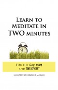 Learn to Meditate in 2 Minutes