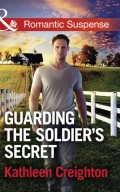 Guarding The Soldier's Secret