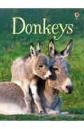 Donkeys