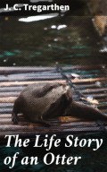 The Life Story of an Otter