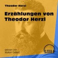 Erzählungen von Theodor Herzl (Ungekürzt)