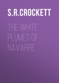 The White Plumes of Navarre
