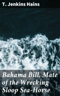 Bahama Bill, Mate of the Wrecking Sloop Sea-Horse