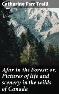 Afar in the Forest; or, Pictures of life and scenery in the wilds of Canada