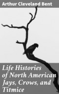Life Histories of North American Jays, Crows, and Titmice