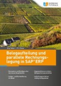 Belegaufteilung und parallele Rechnungslegung in SAP ERP