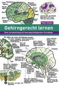 Gehirngerecht lernen (E-Book)