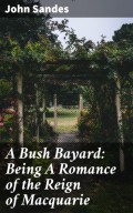 A Bush Bayard: Being A Romance of the Reign of Macquarie