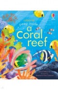 Peep inside a Coral Reef