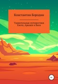 Удивительные путешествия Енота, Аркаши и Вали