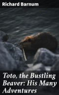 Toto, the Bustling Beaver: His Many Adventures
