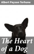 The Heart of a Dog