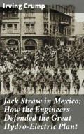 Jack Straw in Mexico: How the Engineers Defended the Great Hydro-Electric Plant