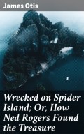 Wrecked on Spider Island; Or, How Ned Rogers Found the Treasure