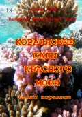 Коралловые сады Красного моря. Атлас кораллов