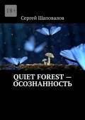 Quiet Forest – Осознанность
