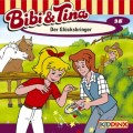 Bibi & Tina, Folge 38: Der Glücksbringer