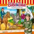 Bibi & Tina, Folge 72: Der geheimnisvolle Falke