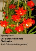 Der Blütenreiche Rote Blattkaktus