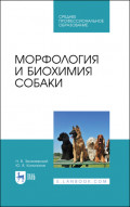 Морфология и биохимия собаки