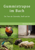 Gummistrapse im Bach