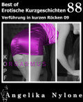Erotische Kurzgeschichten - Best of 88
