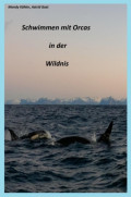 Schwimmen mit Orcas in der Wildnis