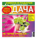 Дача Pressa.ru 03-2023