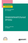 Правоохранительные органы 2-е изд., пер. и доп. Учебник и практикум для СПО