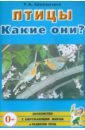 Птицы. Какие они? Книга для воспитателей, гувернеров и родителей