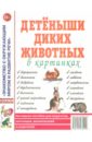 Детеныши диких животных. Наглядное пособие для педагогов, логопедов, воспитателей и родителей