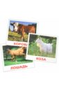 Комплект карточек "Домашние животные" 16,5х19,5 см.