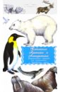 Дидактические карточки. Животные Арктики и Антарктики