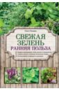 Свежая зелень. Ранняя польза