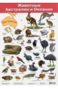 Плакат "Животные Австралии и Океании" (2858)