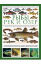 Рыбы рек и озер. Всемирная иллюстрированная энциклопедия
