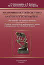 Anatomy of bone system. The manual for medical students / Анатомия костной системы. Учебное пособие для медицинских вузов
