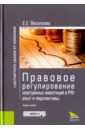 Правовое регулирование иностранных инвестиций в РФ. Опыт и перспективы (Законность и правопорядок)
