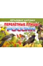 Карточки "Перелетные птицы России"