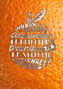 Апельсиновый трениг – 18. Orange training – 18. Книга третья. «Творчество заразительно!». Тренинг креативности