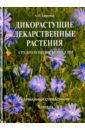 Дикорастущие лекарственные растения средней полосы России: карманный справочник