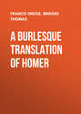 A Burlesque Translation of Homer