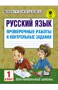 Русский язык. 1 класс. Проверочные работы и контрольные задания