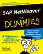 SAP NetWeaver For Dummies