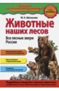 Животные наших лесов. Все лесные звери России