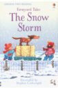 Farmyard Tales: The Snow Storm (HB)