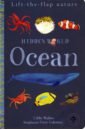 Hidden World: Ocean (Lift the Flap Nature)