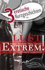3 erotische Kurzgeschichten aus: "Lust Extrem!"