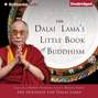 Dalai Lama's Little Book of Buddhism