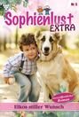Sophienlust Extra 5 – Familienroman